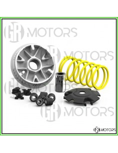 Variatore Malossi Multivar...