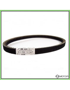 Cinghia di trasmissione...