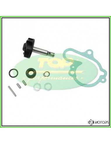 Kit revisione pompa acqua TOP Aprilia...