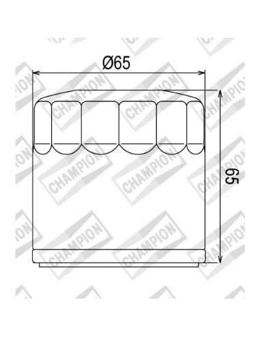 Filtro olio Champion COF454 MV Agusta...