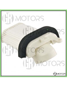 Filtro aria sinistro...