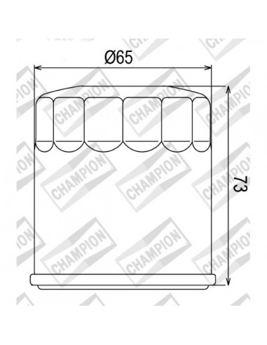 Filtro olio Champion COF077 Buell...