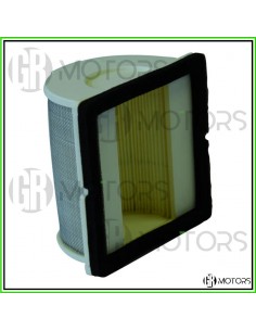 Filtro aria principale...