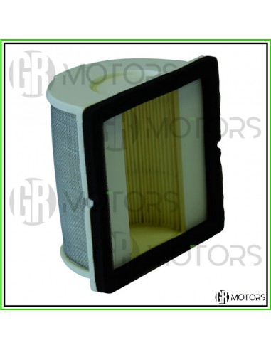 Filtro aria principale Champion...