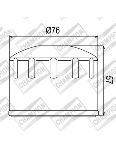Filtro olio Champion COF065 BMW F 800...