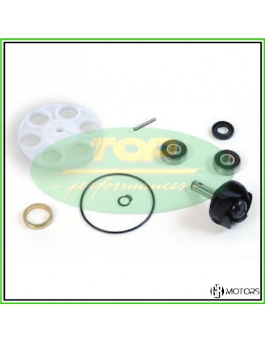 Kit revisione pompa acqua TOP Aprilia...