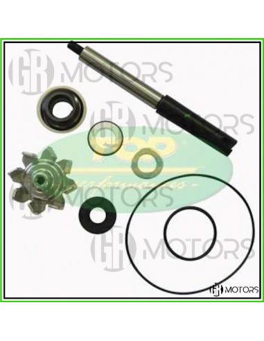 Kit revisione pompa acqua TOP Honda...