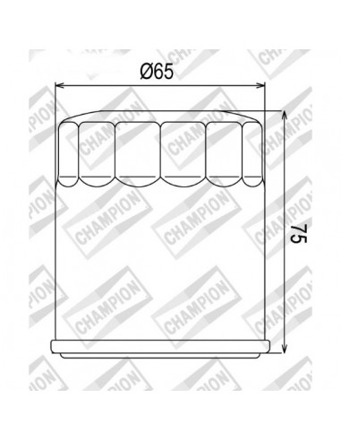 Filtro olio Champion COF056 KTM...