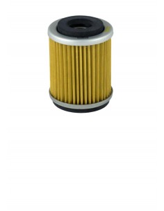 Filtro olio Champion COF043...