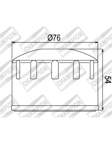 Filtro olio Champion COF064 BMW R...