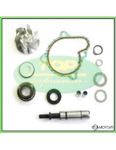 Kit revisione pompa acqua...