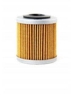 Filtro olio CHampion COF082...