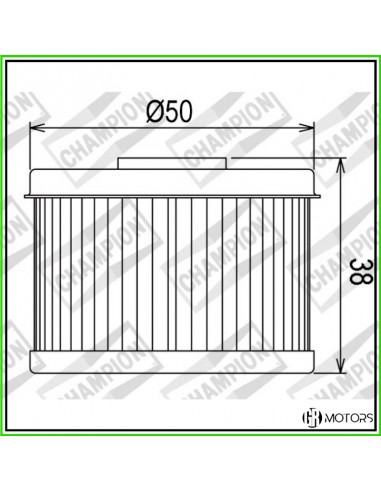 Filtro olio Champion COF013 Honda XR...