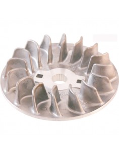 Semipuleggia motrice fissa...