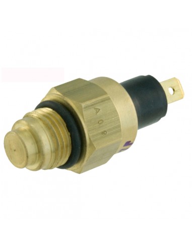 Interruttore termico radiatore RMS...