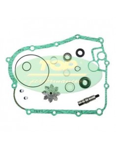 Kit revisione pompa acqua...