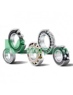 Cuscinetto forcella...