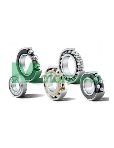 Cuscinetto forcella inferiore NTN...