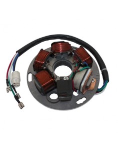 Statore originale Piaggio...