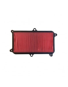 Filtro aria Hokio Kymco...