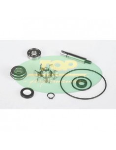 Kit revisione pompa acqua...