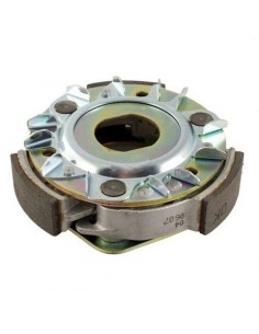 Frizione centrifuga...