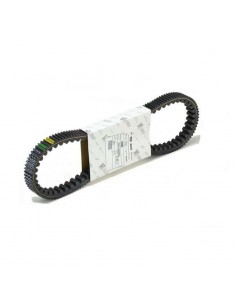 Cinghia di trasmissione...