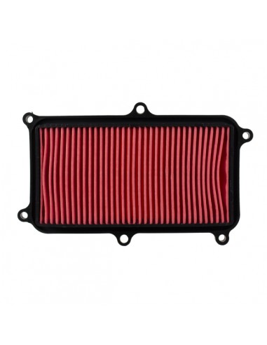 Filtro aria ETRE Kymco People S 125...