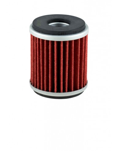 Filtro olio Champion COF041 Yamaha...
