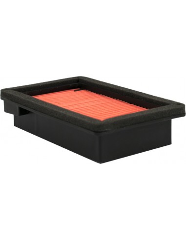 Filtro aria Hiflo CAF3613 per Yamaha...