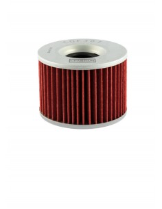 Filtro olio Champion...