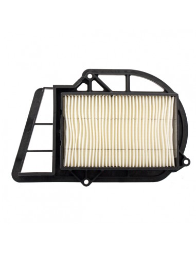 Filtro trasmissione Nypso X-Max /...