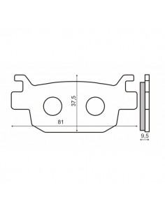 Pastiglie posteriori RMS...