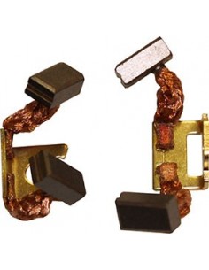 Spazzole motorino...