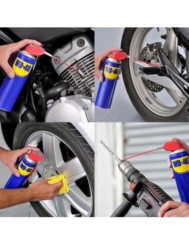 Spray multiuso WD-40 Doppia posizione...
