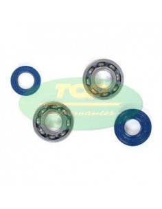 Kit cuscinetti e paraoli...