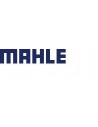 Mahle